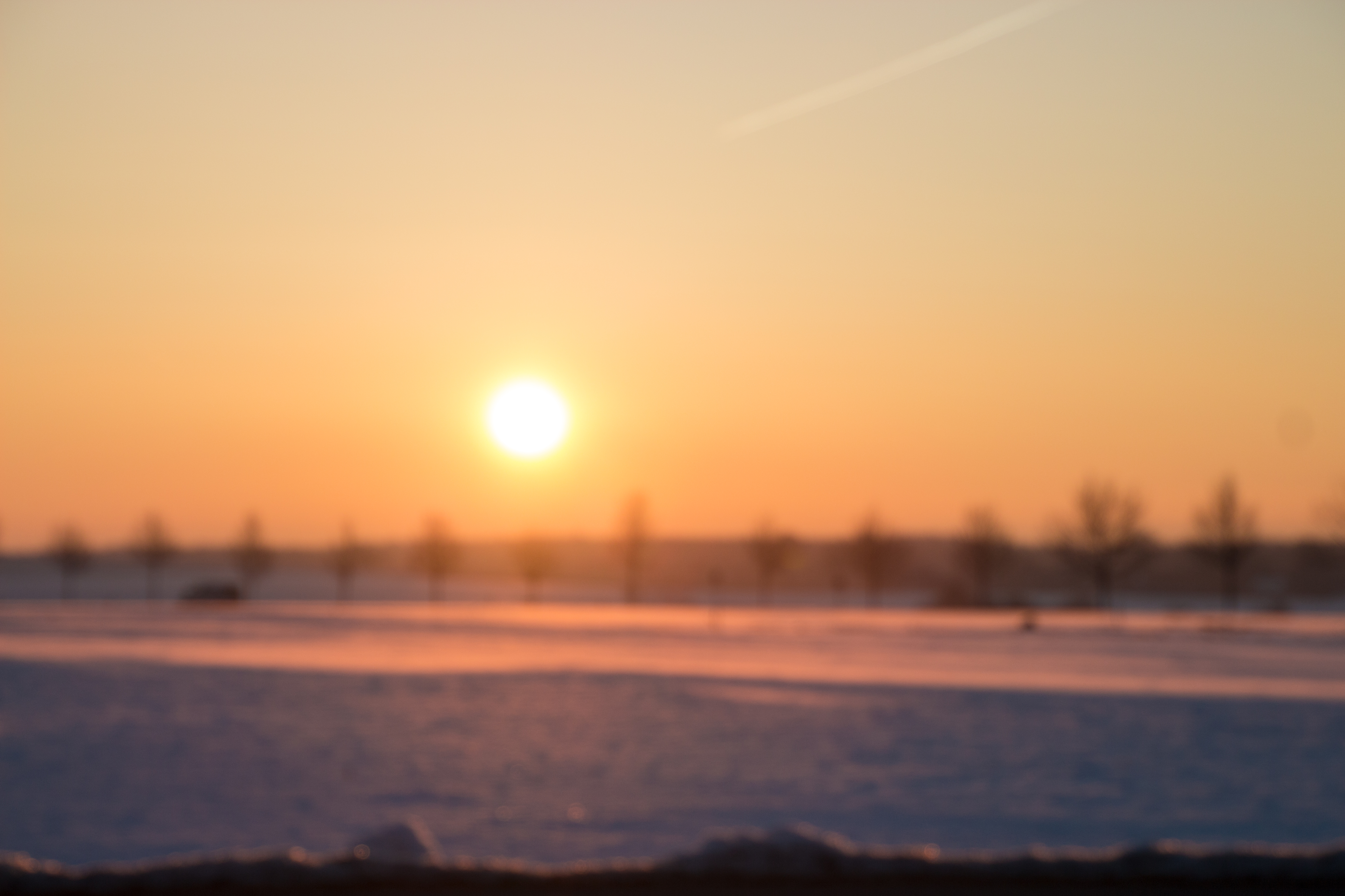 tuesday_morning