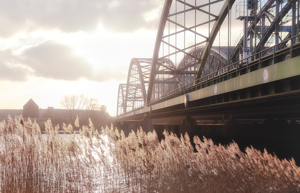 20191231_Hamburg__E6A4773