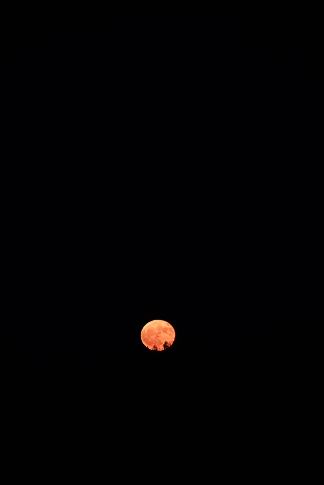 Erdbeermond 2025