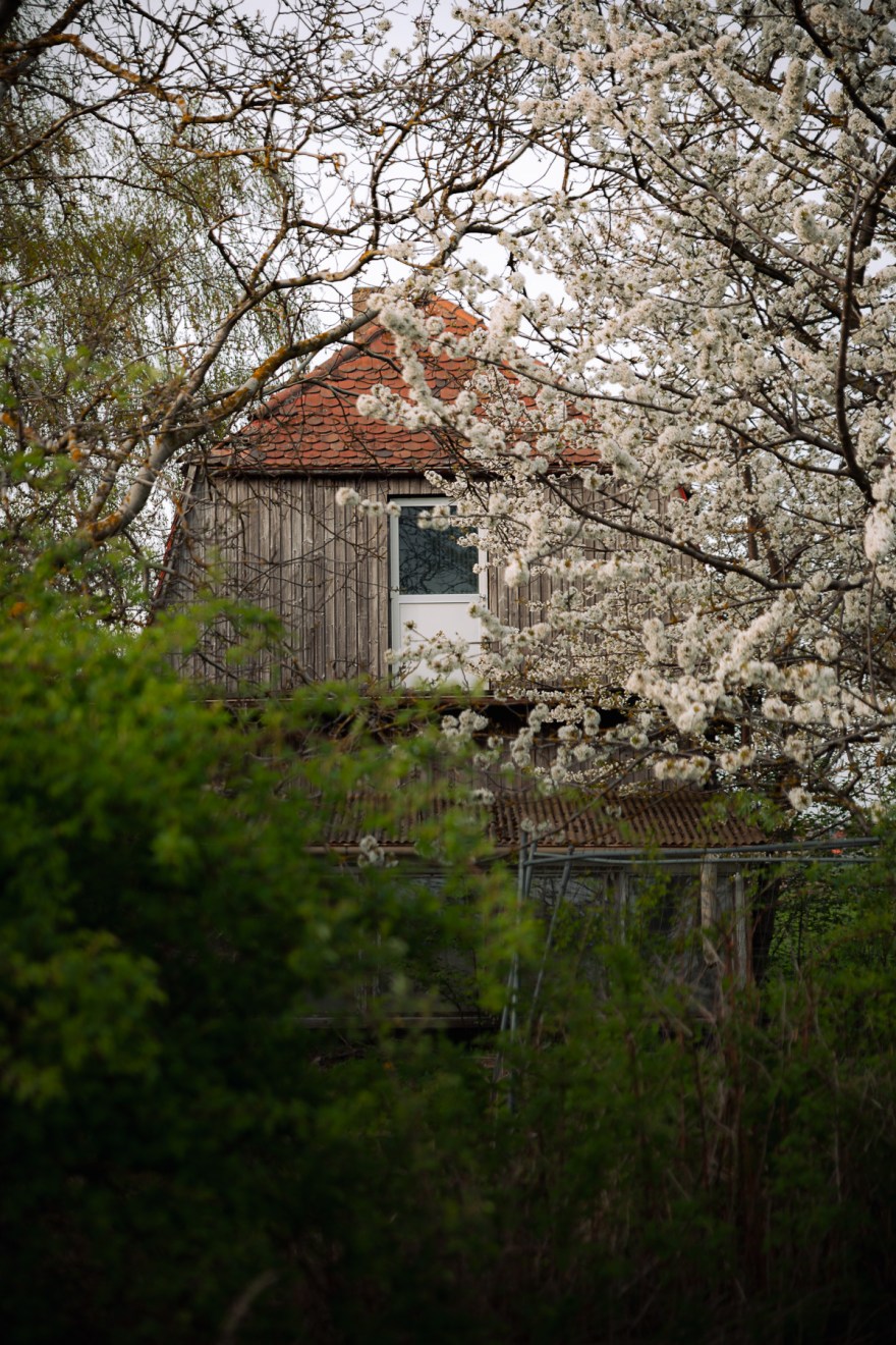 Wiendlhof