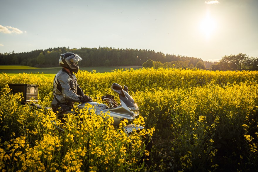 Motorradshooting im Rapsfeld